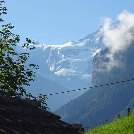 Chalet * Interlaken