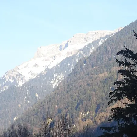 롯지 Chalet 인터라켄